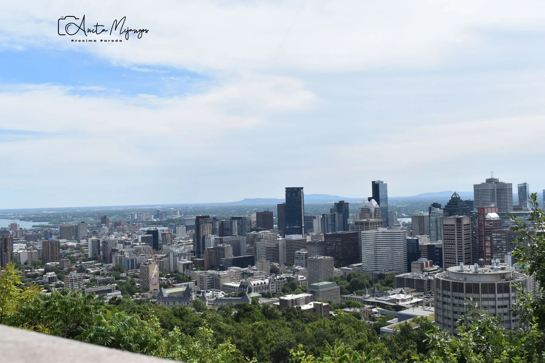 Centro de Montréal visto desde un mirador entre árboles
