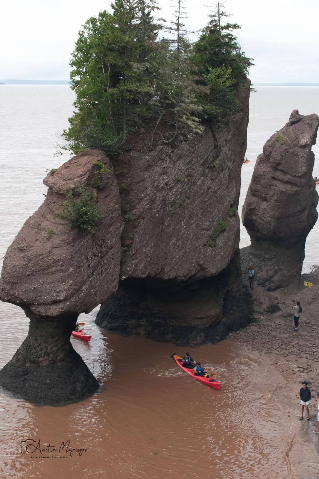 Hopewell Rocks durante la marea baja, con personas y kayaks entre las rocas
