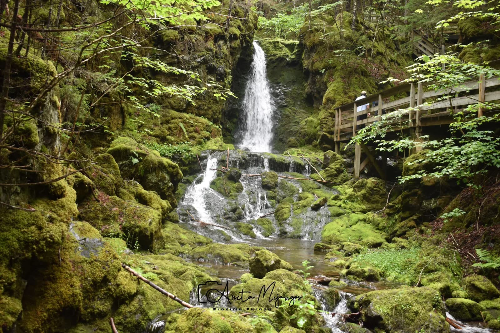 Cascada entre rocas y árboles con pasarela de madera