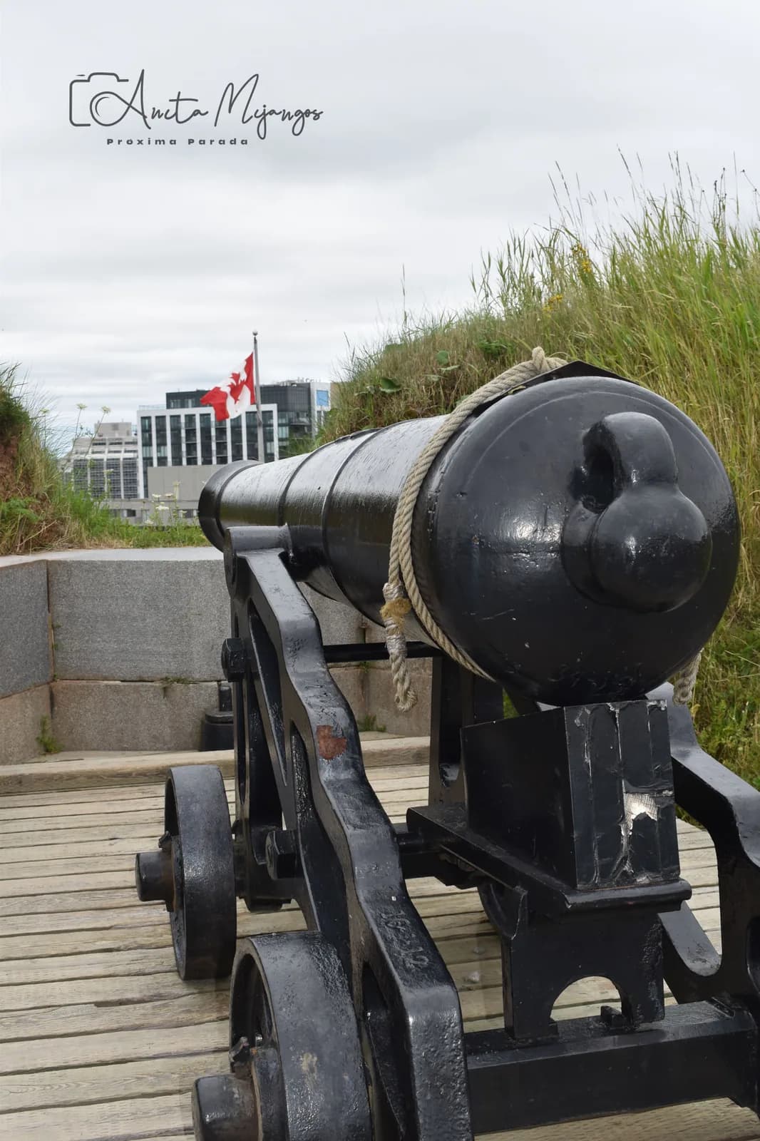 Cañón histórico en la Ciudadela de Halifax