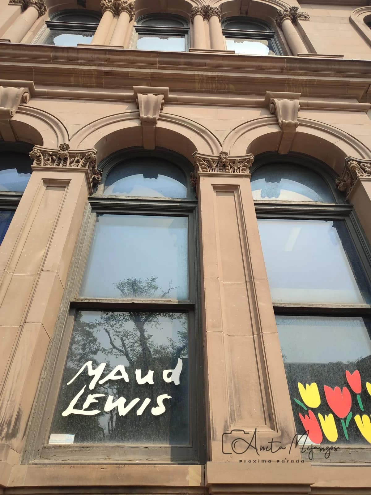 Ventanas de la Galería de Arte de Nueva Escocia con el nombre de Maud Lewis