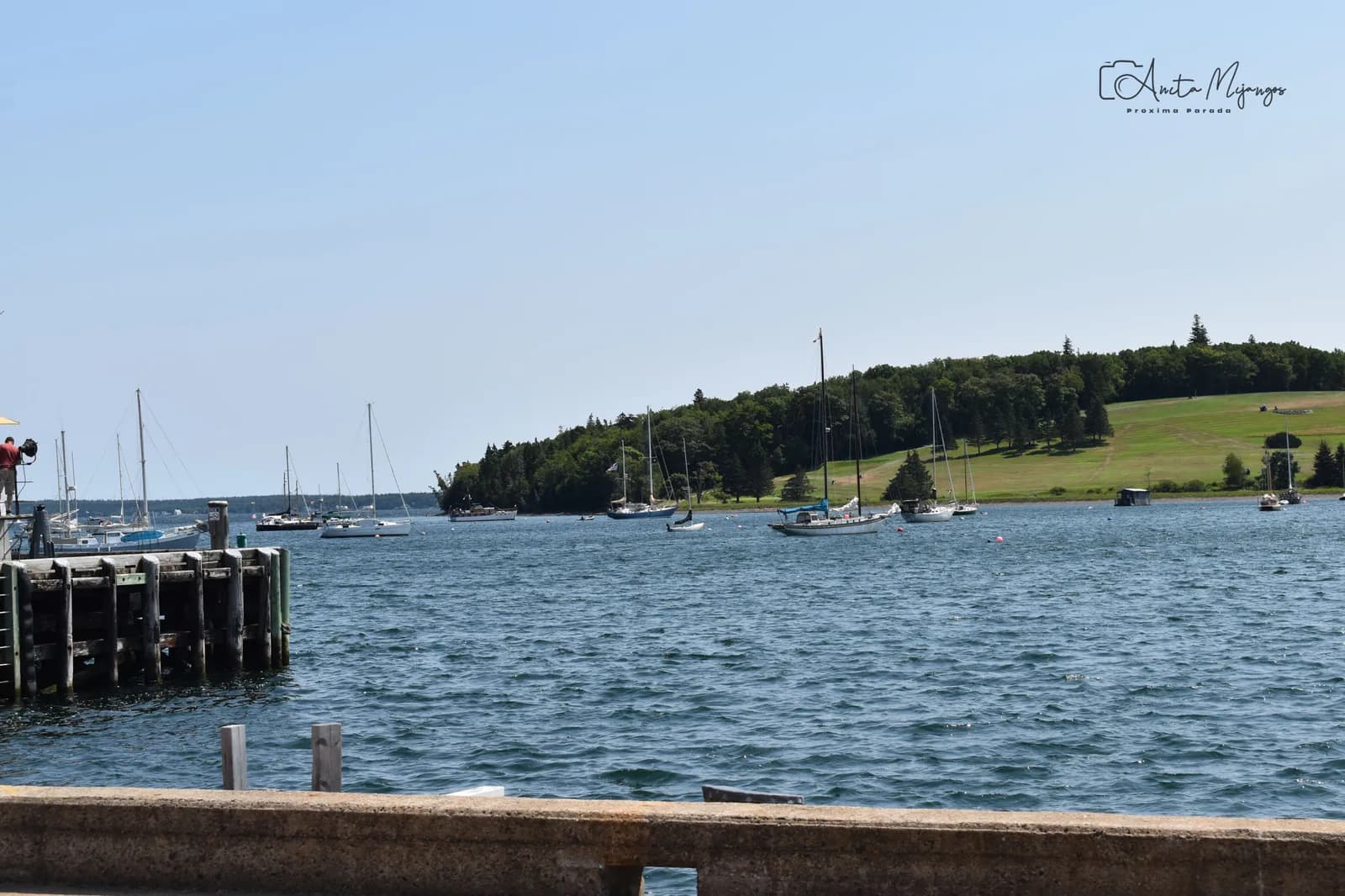 Vista del agua y las casas de Lunenburg