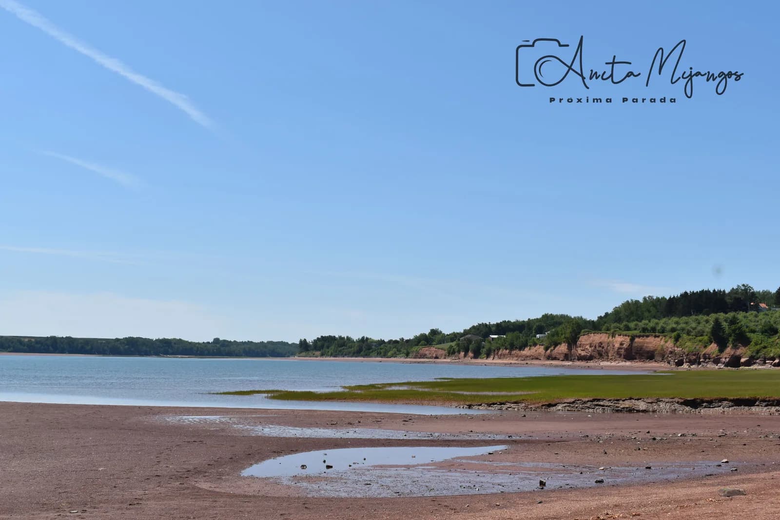 Paisaje natural junto al agua