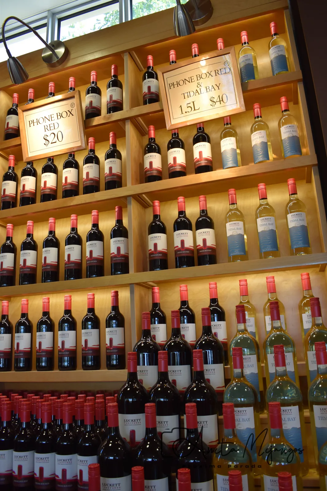 Botellas de vino en el viñedo