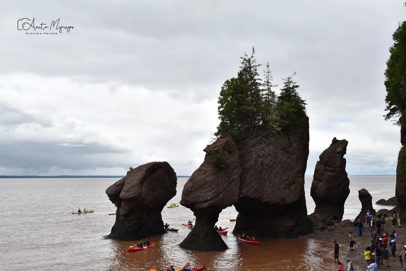 Formaciones rocosas de Hopewell Rocks junto al agua